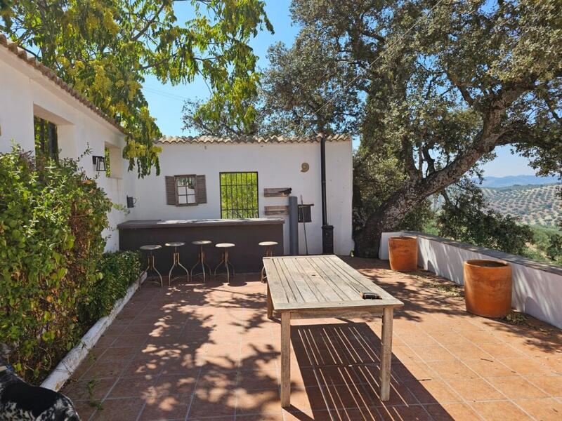 3 sovrum Lantställe till salu 3 sovrum Lantställe till salu