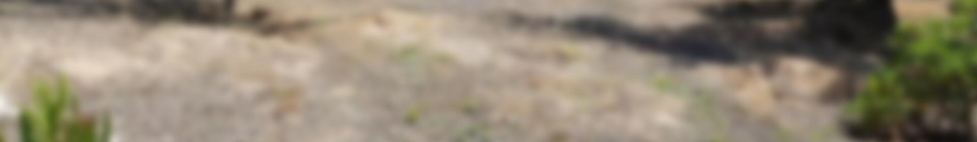 3 chambre Local Commercial à vendre