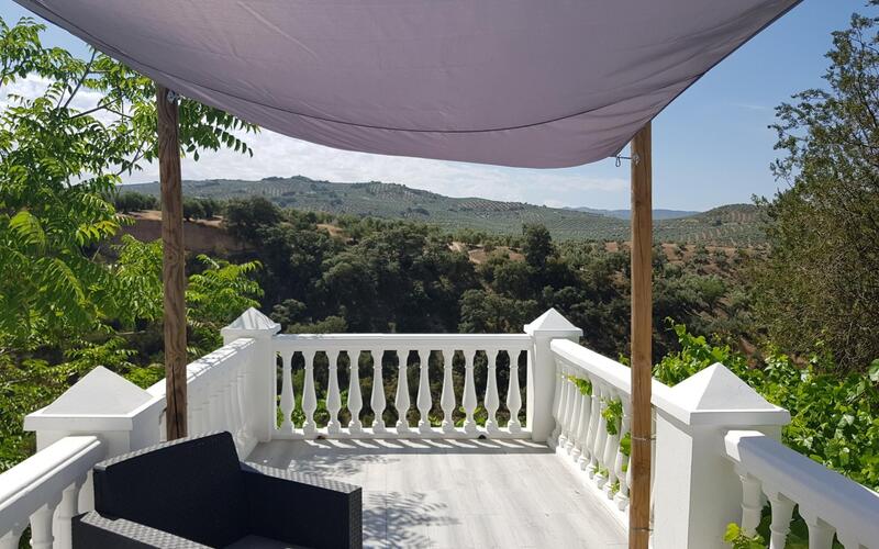 3 chambre Local Commercial à vendre