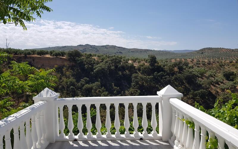 3 chambre Local Commercial à vendre