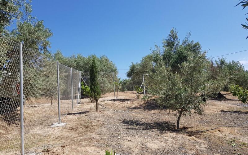 3 chambre Local Commercial à vendre