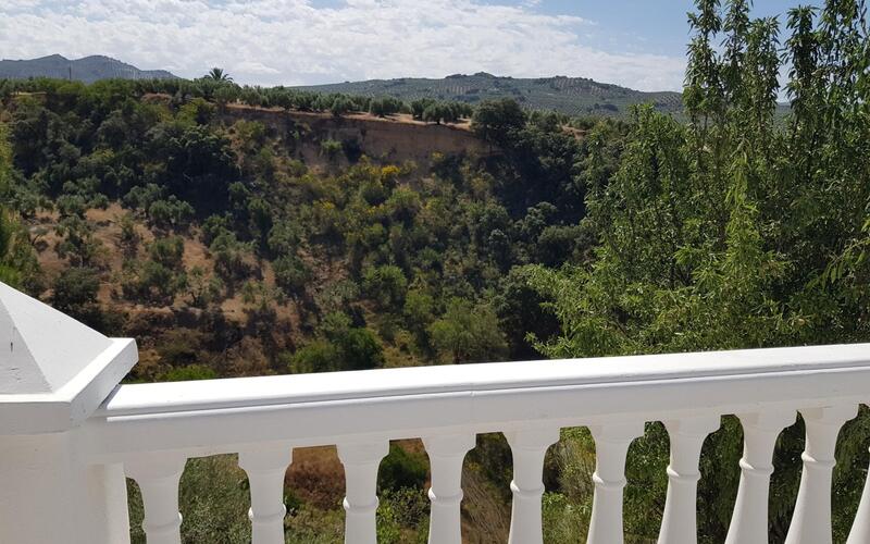 3 chambre Local Commercial à vendre