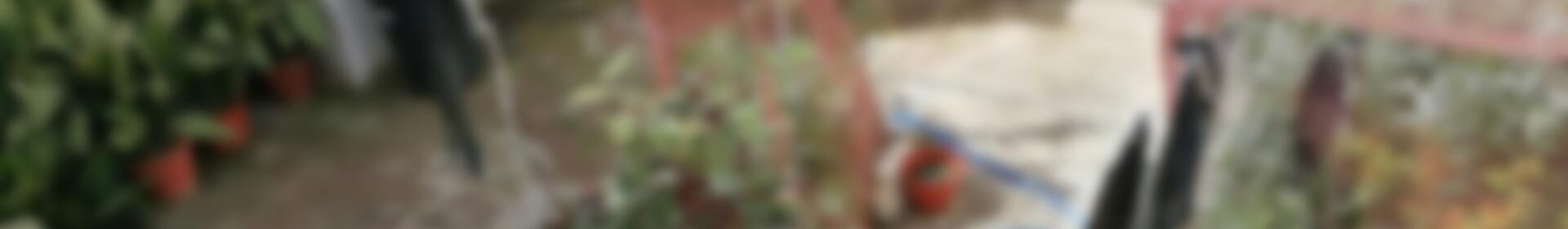 4 chambre Maison de Ville à vendre