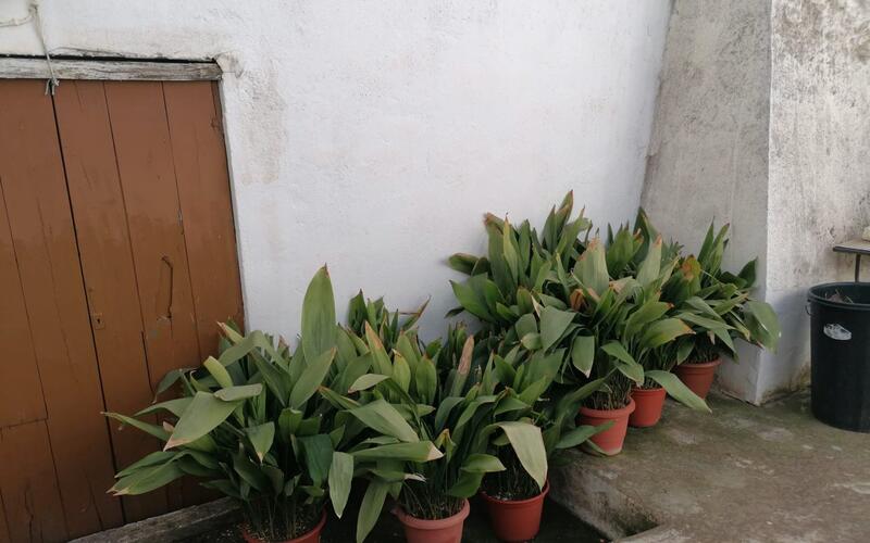 4 chambre Maison de Ville à vendre