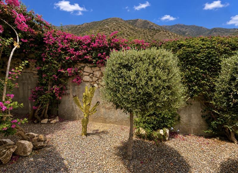Villa for sale in Arboleas, Almería Villa for sale in Arboleas, Almería
