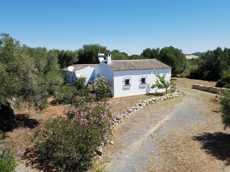 1 slaapkamer Landhuis Te koop