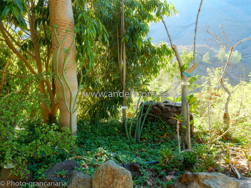 Country House for sale