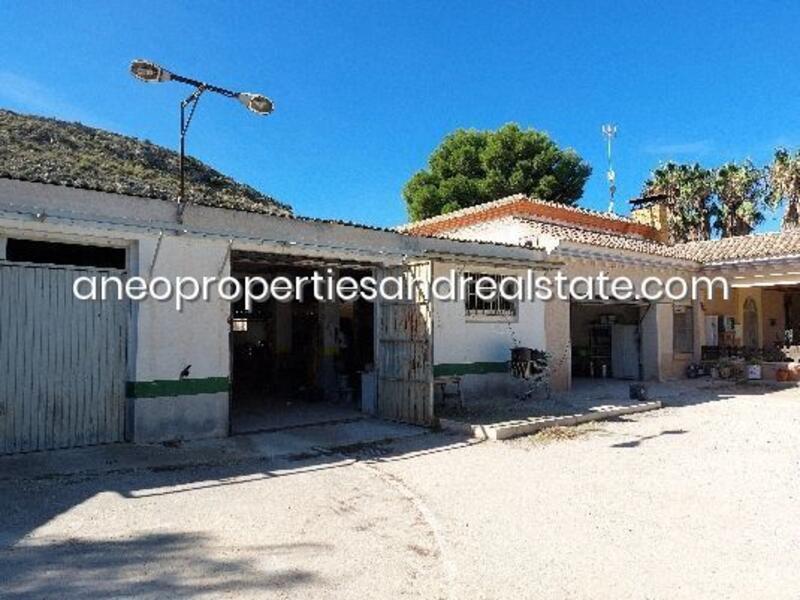 6 Cuarto Villa en venta