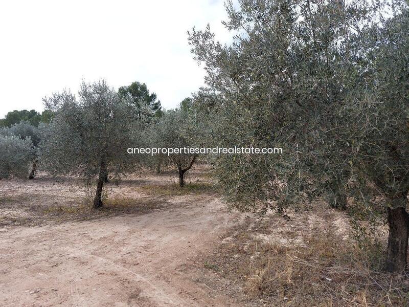 6 Cuarto Villa en venta