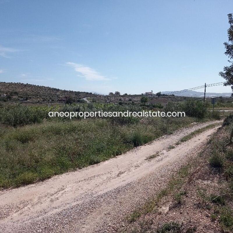 Land for sale in Novelda, Alicante