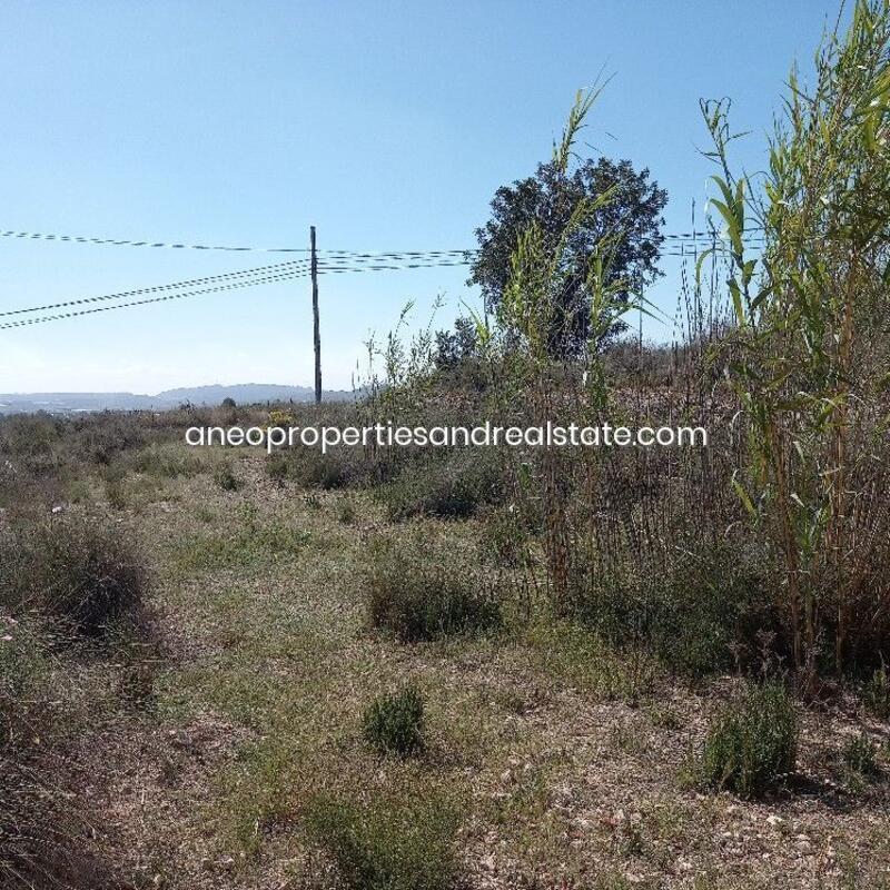 Land for sale