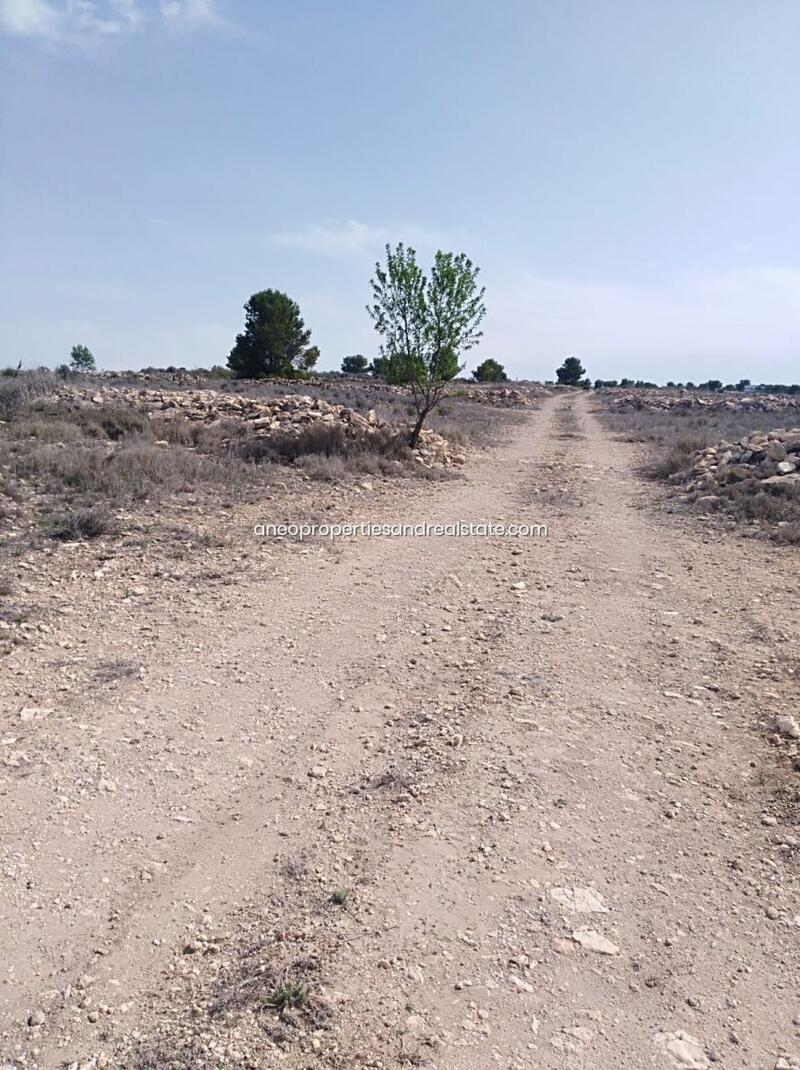 Land for sale in Pinoso, Alicante