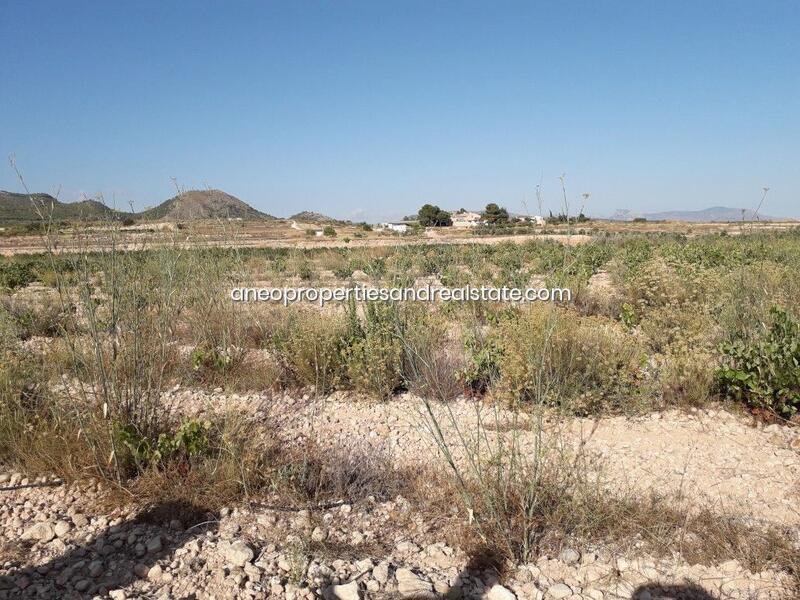 Land for sale