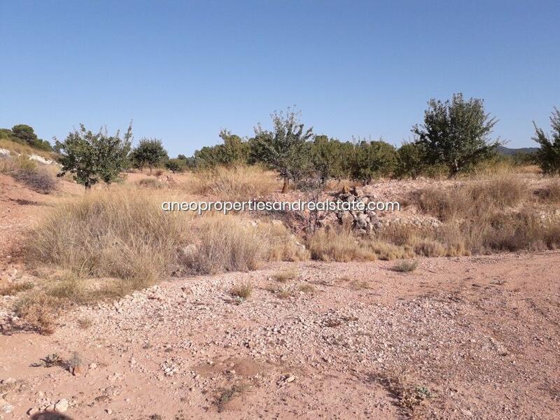 Land for sale