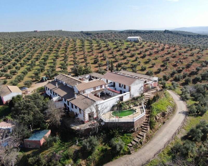 Erhvervsejendom til salg i Montoro, Córdoba