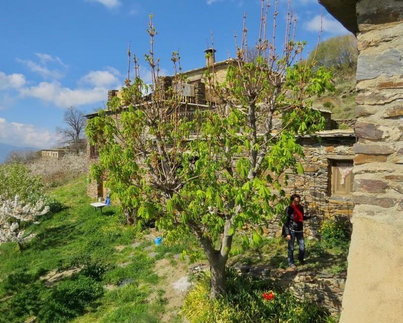 6 chambre Auberge à vendre