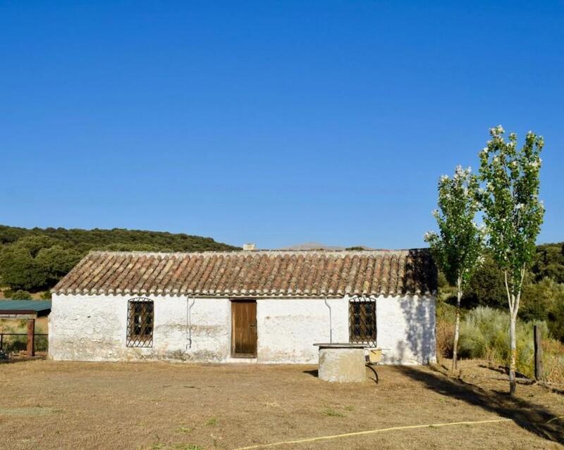 6 chambre Auberge à vendre
