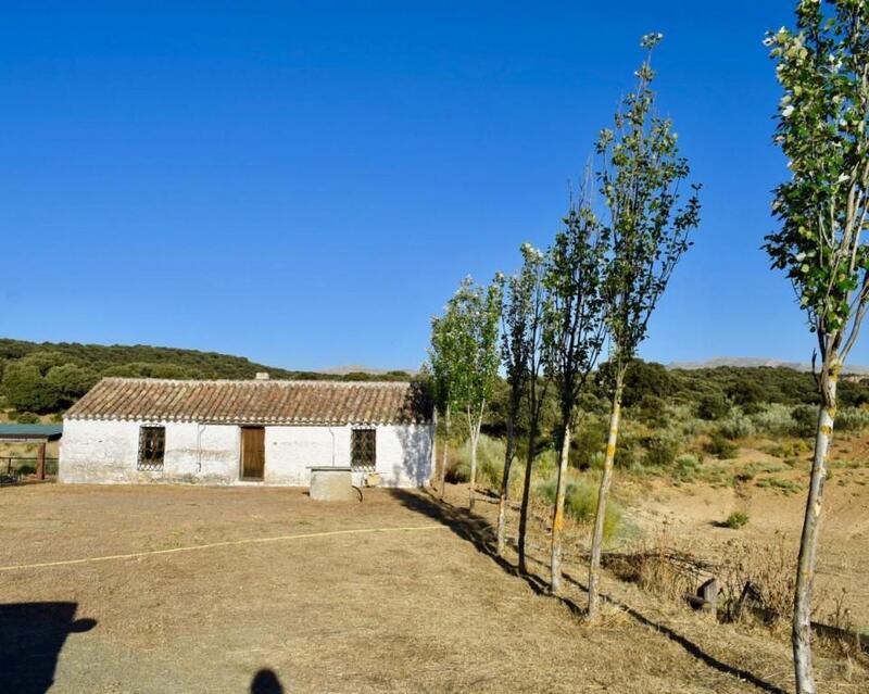 6 chambre Auberge à vendre