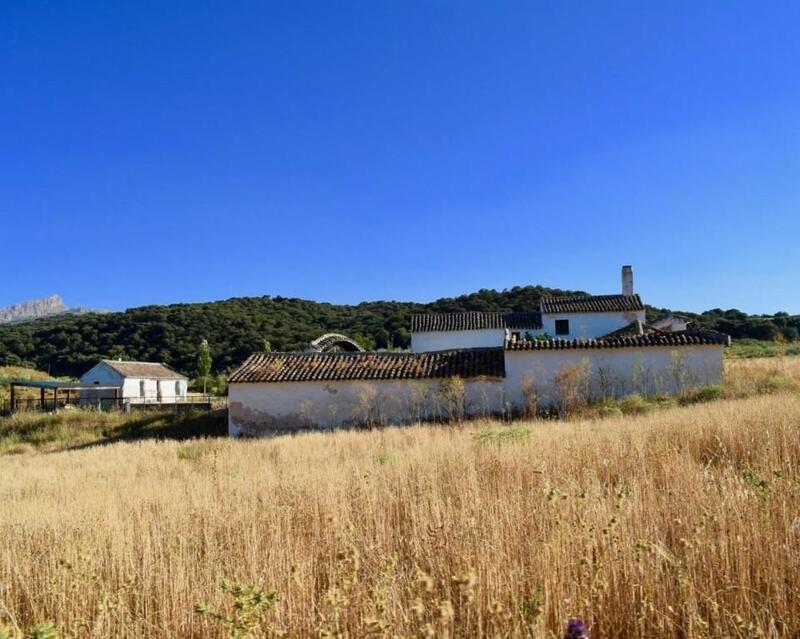 6 chambre Auberge à vendre