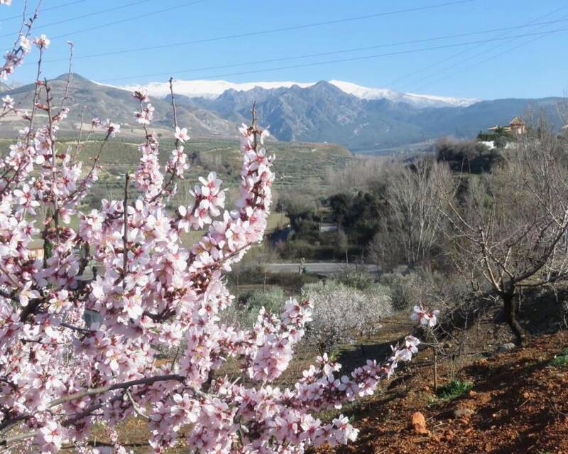 Деревенский Дом продается в Dilar, Granada