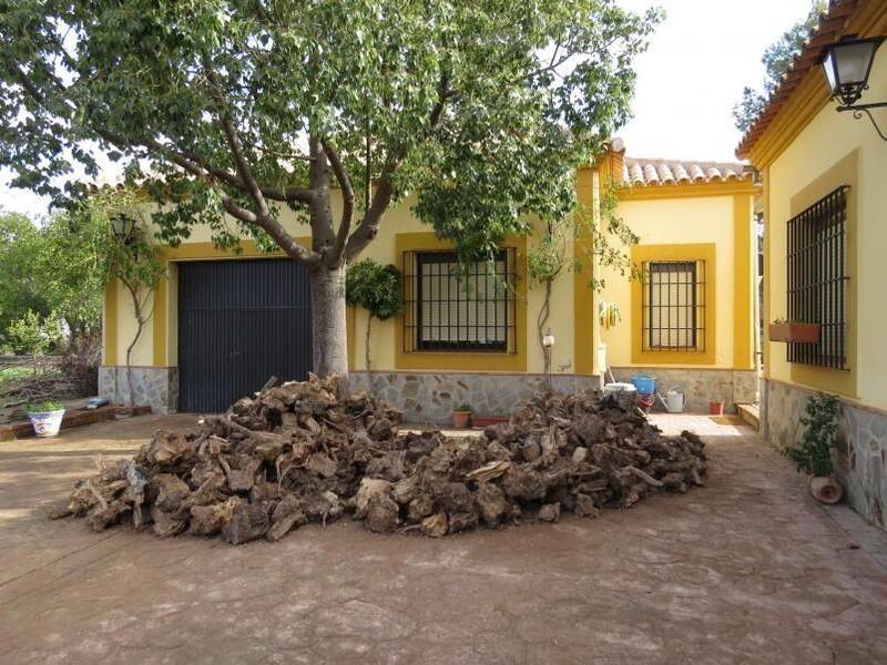 4 Cuarto Casa de Campo en venta