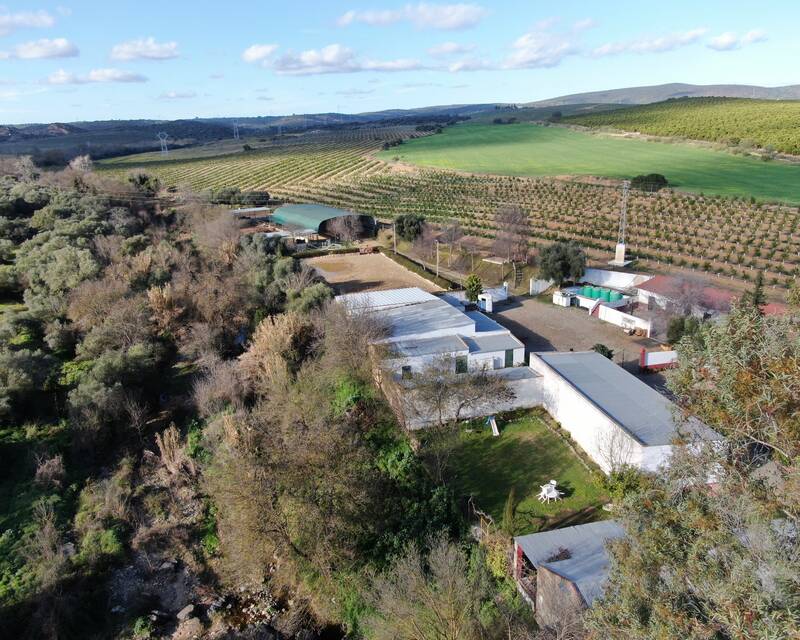 Casa de Campo en venta en Burguillos, Sevilla