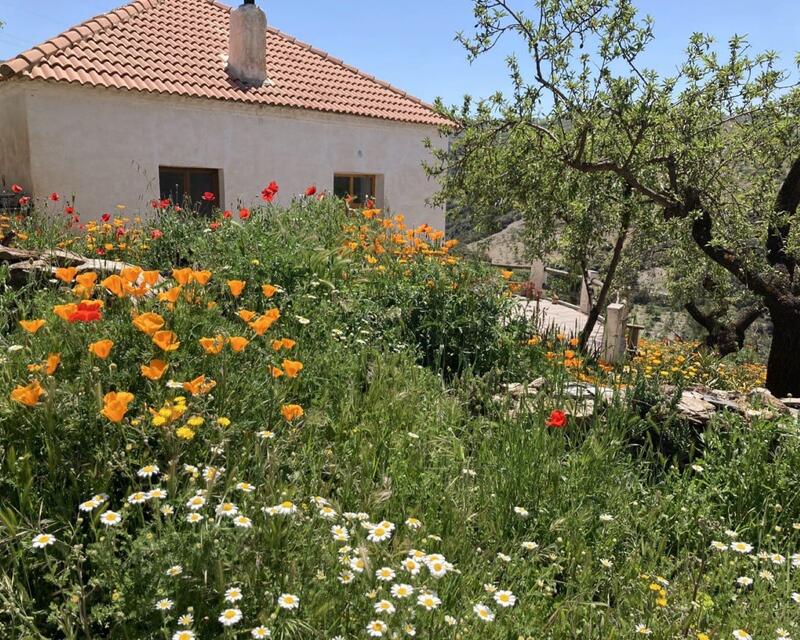 Auberge à vendre dans Cadiar, Granada