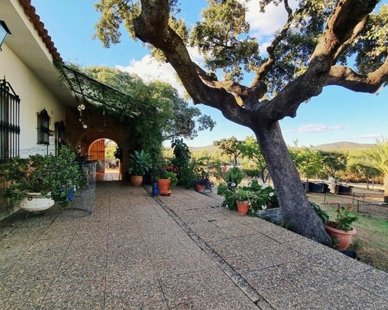 3 Cuarto Casa de Campo en venta