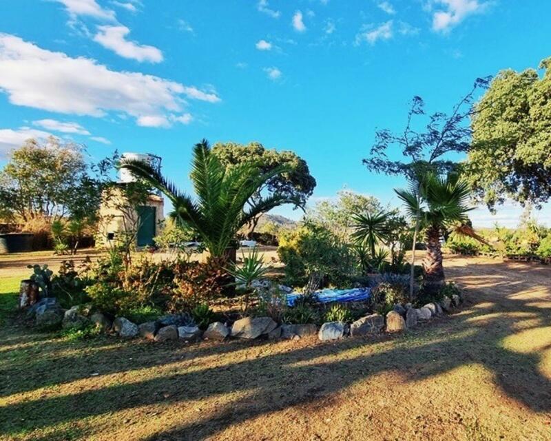 3 Cuarto Casa de Campo en venta