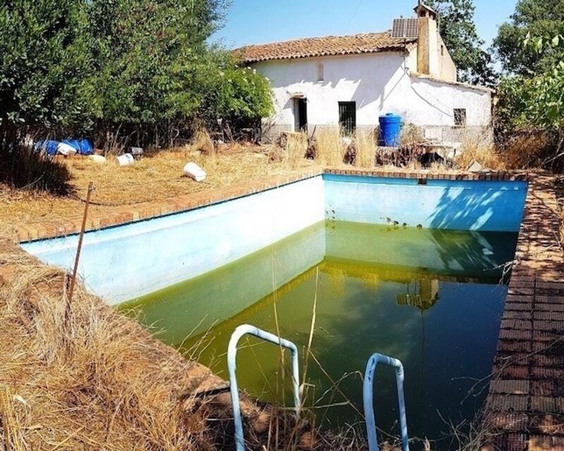 Landhaus zu verkaufen in La Nava, Huelva