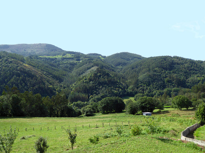 8 bedroom Country House for sale