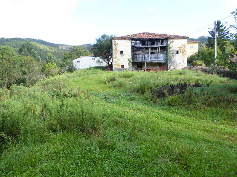 5 chambre Auberge à vendre