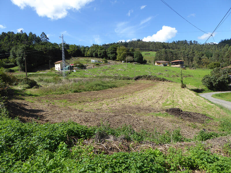 Land for sale in Otero (Candamo), Asturias