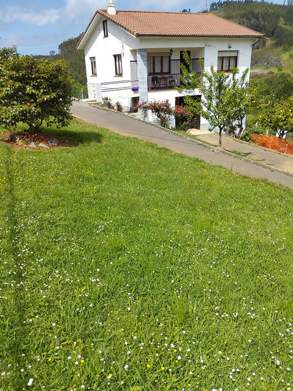 3 chambre Auberge à vendre