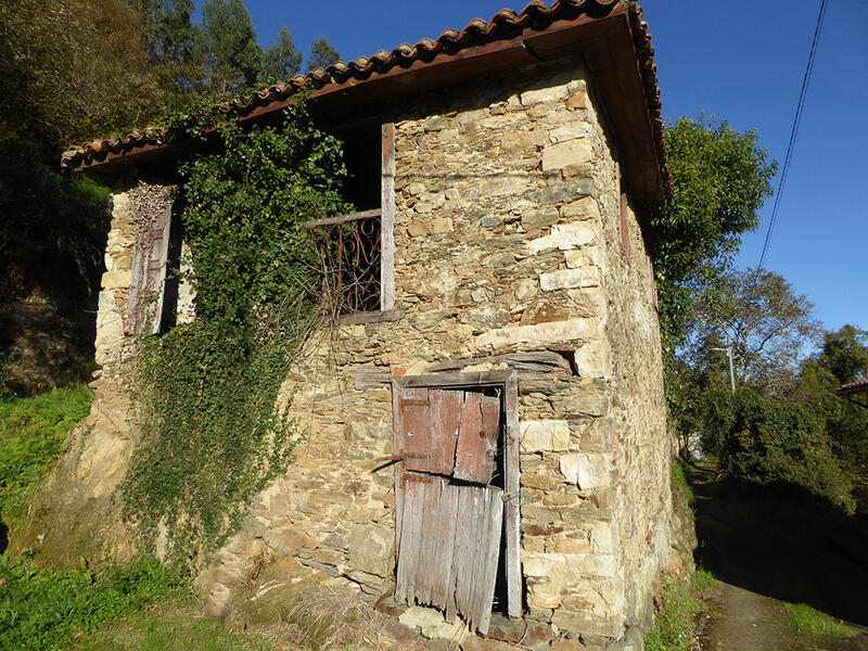 Landsted til salg i Omedas, Asturias