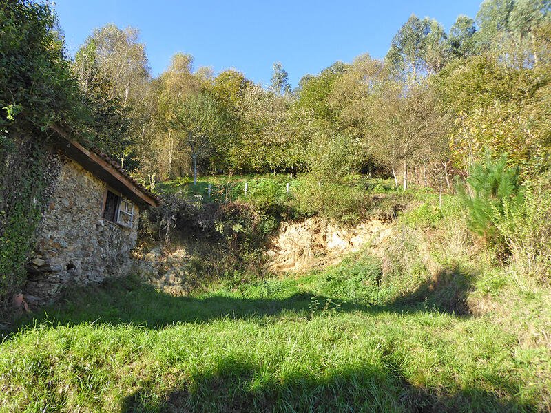 2 chambre Auberge à vendre