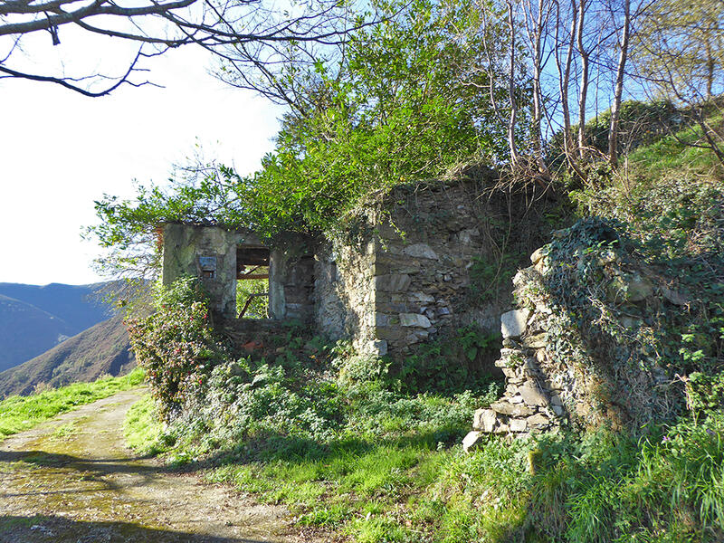 Landsted til salg i Brañaseca, Asturias