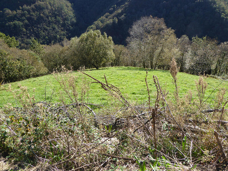 Country House for sale