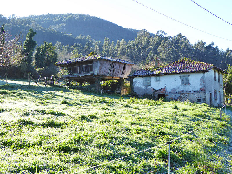3 bedroom Country House for sale