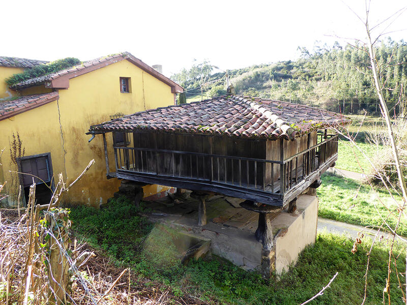 4 Cuarto Casa de Campo en venta