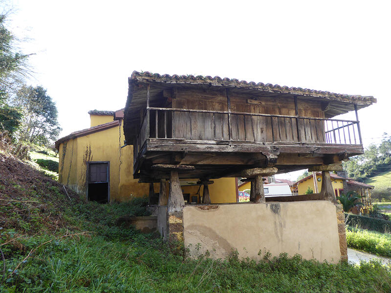 4 Cuarto Casa de Campo en venta