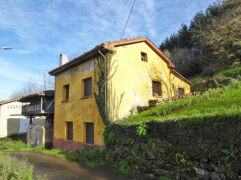 4 Cuarto Casa de Campo en venta