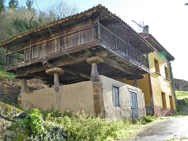 4 Cuarto Casa de Campo en venta