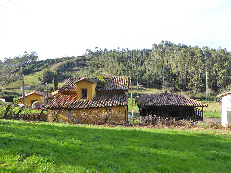 4 Cuarto Casa de Campo en venta