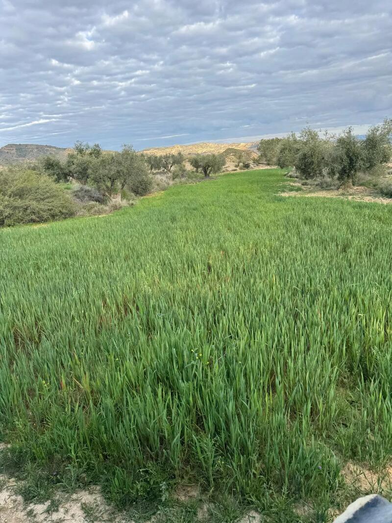 3 Schlafzimmer Sonstiges zu verkaufen