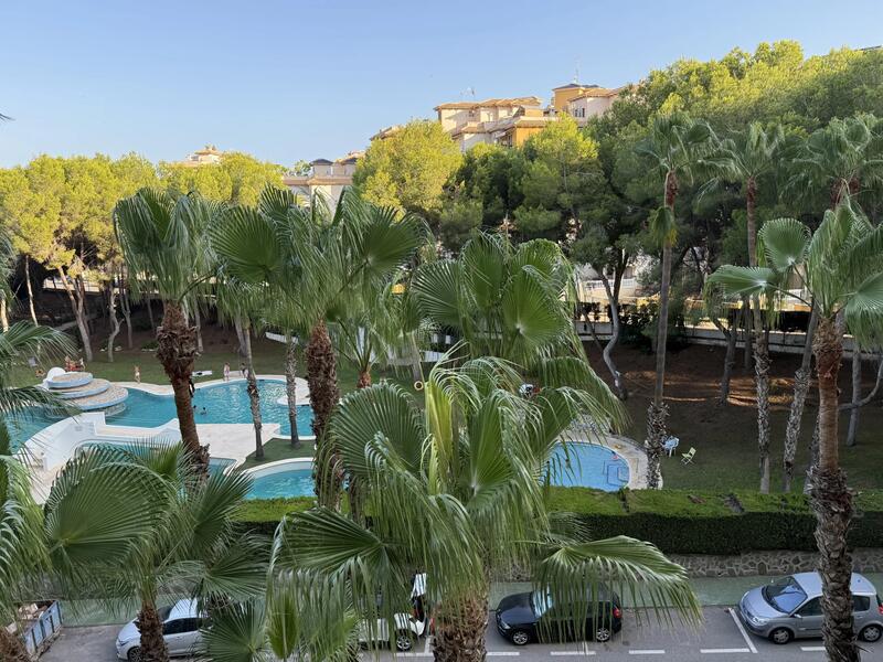 Appartement zu verkaufen in Dehesa de Campoamor, Alicante Appartement zu verkaufen in Dehesa de Campoamor, Alicante