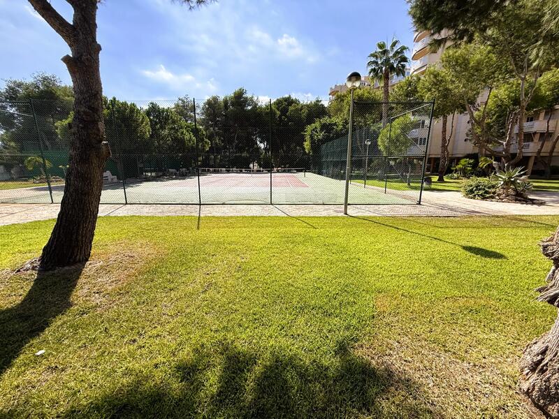 3 Schlafzimmer Appartement zu verkaufen