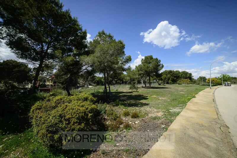 Grundstück zu verkaufen