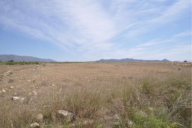 Terrenos en venta