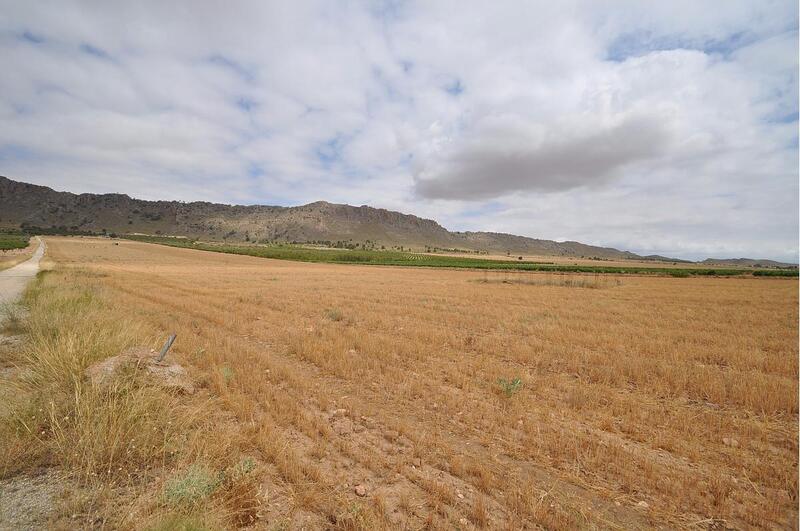4 Cuarto Terrenos en venta